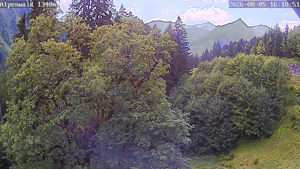 Bild: Gasthof Alpenwald